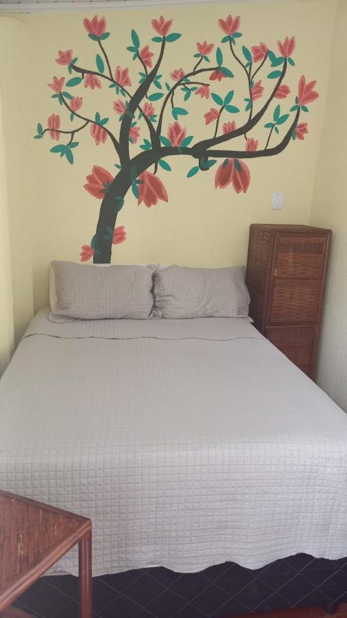 Hostel Sol Da Barra Salwador Zewnętrze zdjęcie